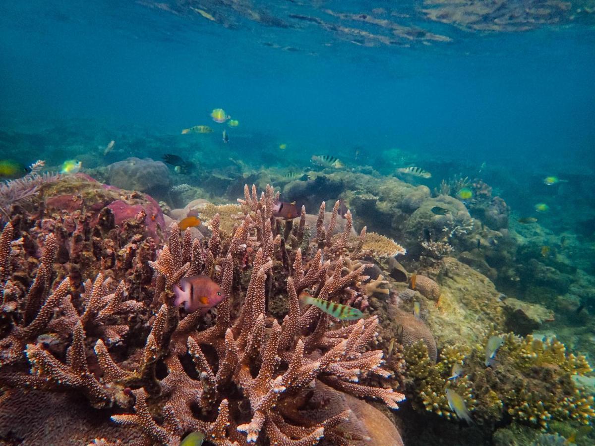 Raja Ampat Eco Lodge Tapokreng Εξωτερικό φωτογραφία