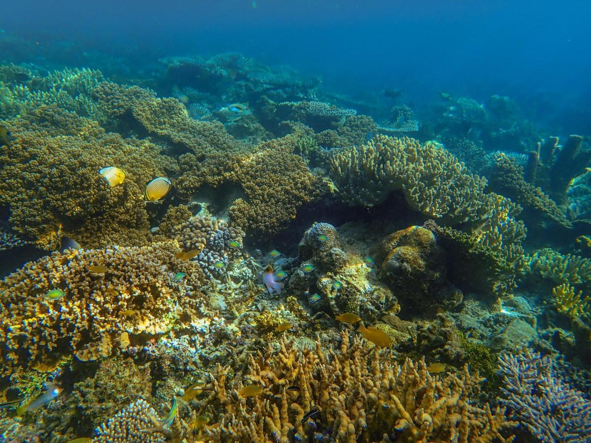 Raja Ampat Eco Lodge Tapokreng Εξωτερικό φωτογραφία